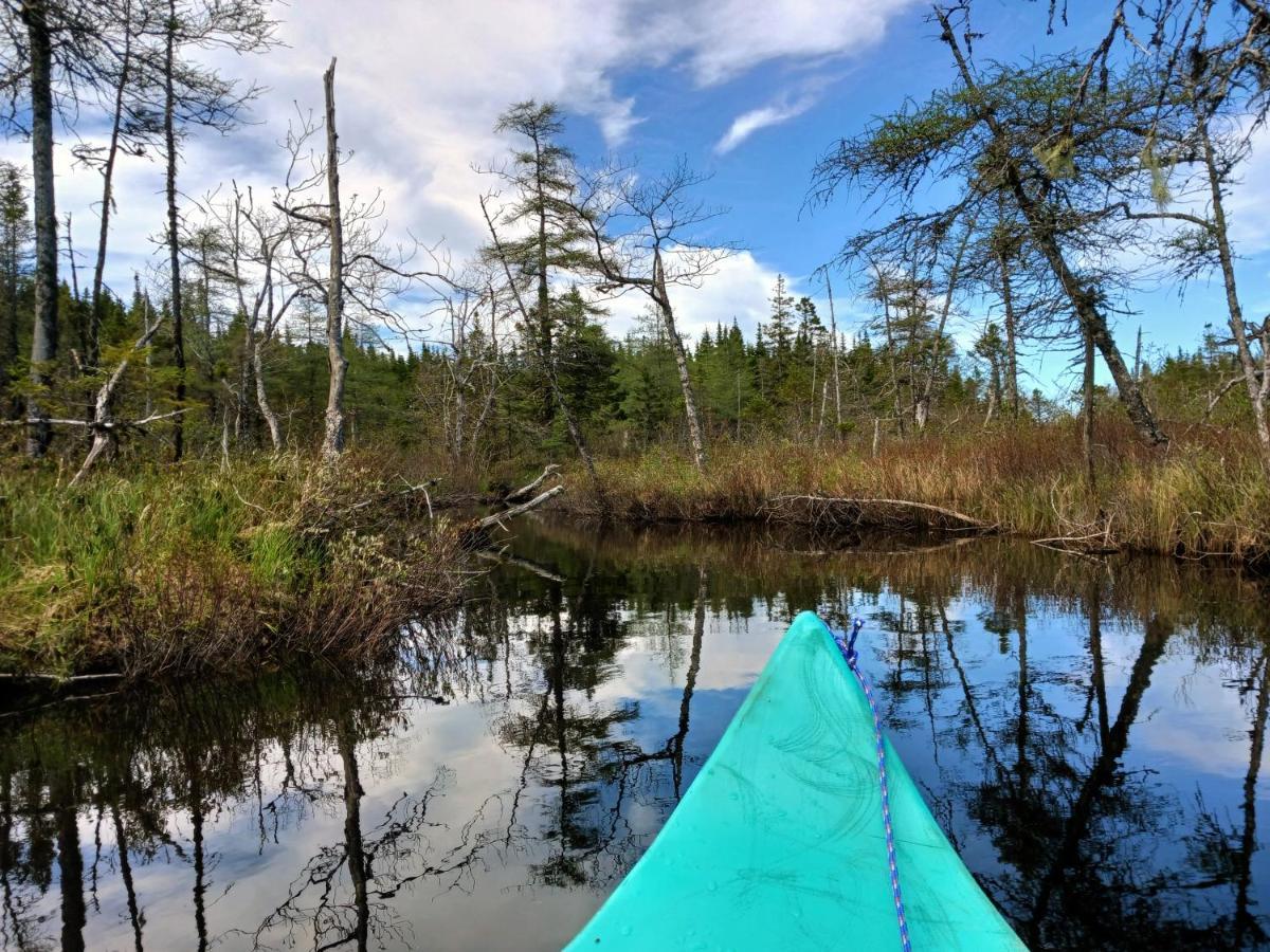 Fiddler'S Lake Escape Gabarus Bagian luar foto