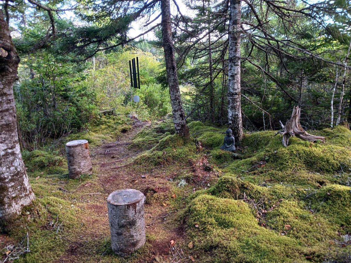 Fiddler'S Lake Escape Gabarus Bagian luar foto