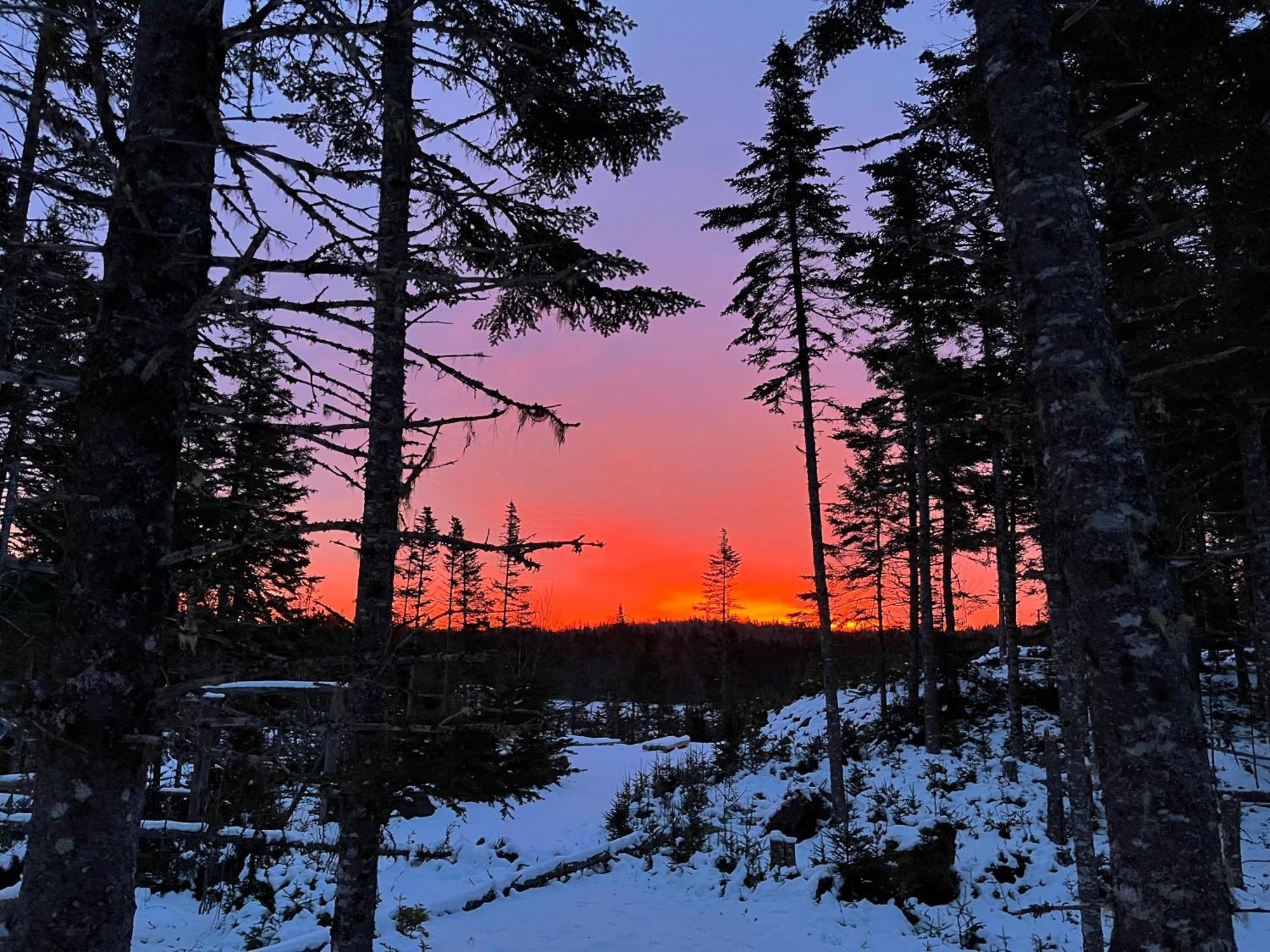 Fiddler'S Lake Escape Gabarus Bagian luar foto